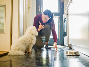 Removing Natural Stone Urine Stains and Odors