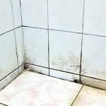 Moldy Shower Wall